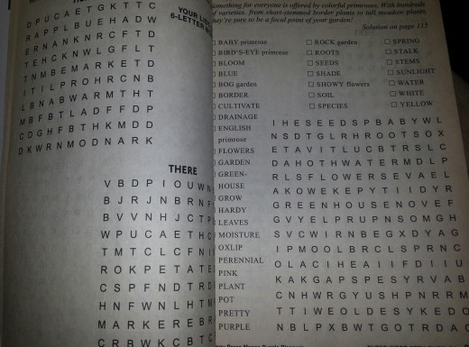 This is the typical word search we are accustomed to.