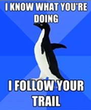 Google Penguin follows your links trail.