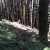 I look down to see TJ on the steep switchback below I look down to see TJ on the steep switchback below