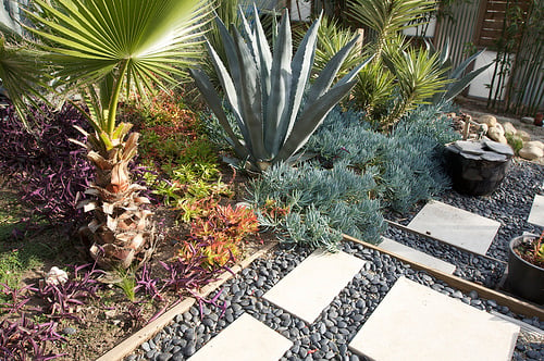 A water-wise xeriscape. Photo by Jeremy Levine Designs.