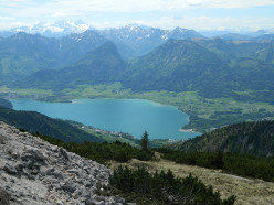 http://s3.hubimg.com/u/8008346_f248.jpg