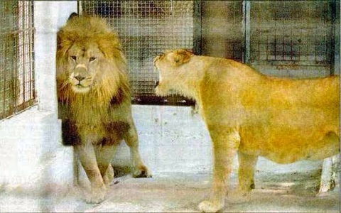 Sometimes, it just feels like this. Just love her man. 