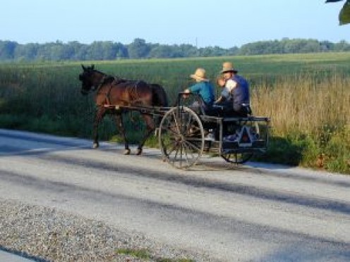 amish research papers amish research papers