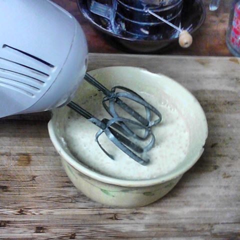 Electric Egg Mixer