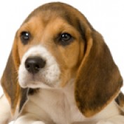 sscott profile image
