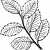 Original Clip art