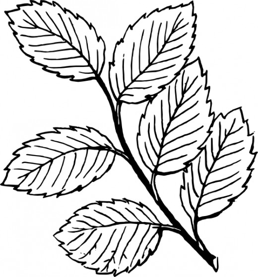 Original Clip art
