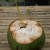 in Kawasan Falls, Badian, Cebu, Philippines  - drinking coconut juice