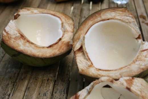 in Kawasan Falls, Badian, Cebu, Philippines  - eating coconut meat