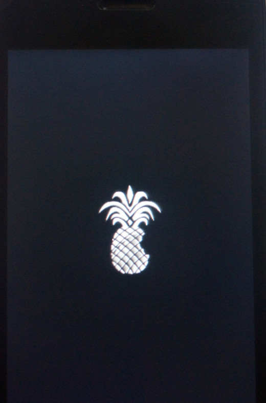 The pineapple that appears on the screen during boot-up when your phone is unlocked with pnwagetool.  The apple logo follows.
