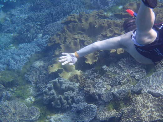 Santander, Cebu,Philippines - Snorkling & Diving