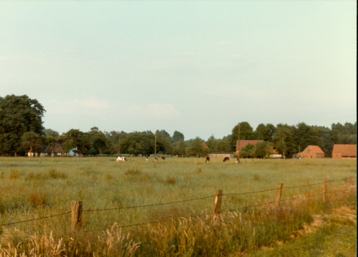 Farm / Ranch