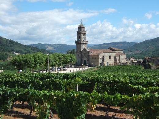 Vineyards near Beade