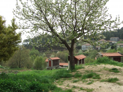 Collection of hórreos near Leiro