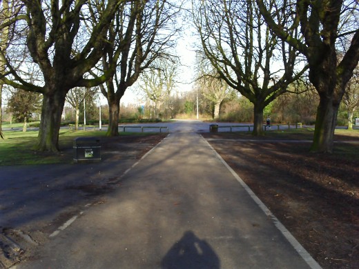 West Park: This is the path that I'm sure has not always been there, I can remember the path being more through the middle of the park.