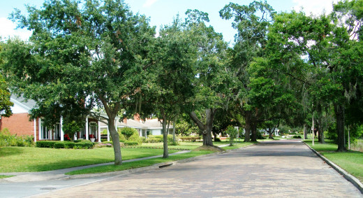 City Beautiful, Orlando Florida. Lake Ivanhoe Blvd. One of the city's better neighborhoods with fine lakefront homes, cobblestone streets and grand live oaks providing deep shade. Keith and Connie will never live anywhere close to this lifestyle