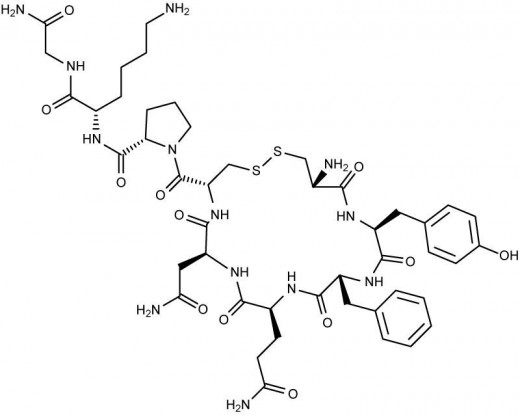 Vasopressin Structure 