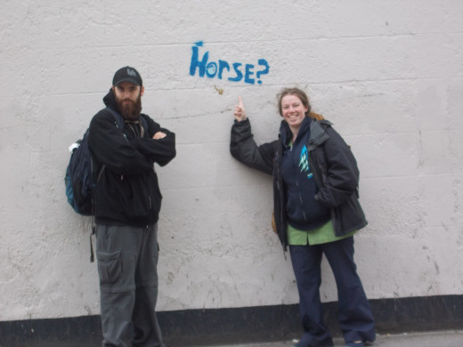 Horse? Hay or Nay?