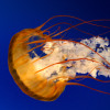 web2clusive profile image