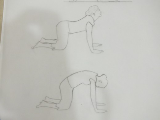 Exercise on kneeling position