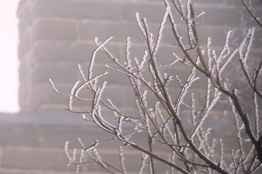 5 c) Branches covered in ice at The Great Wall of China