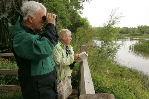 Couple watching wildlife from observation deck.