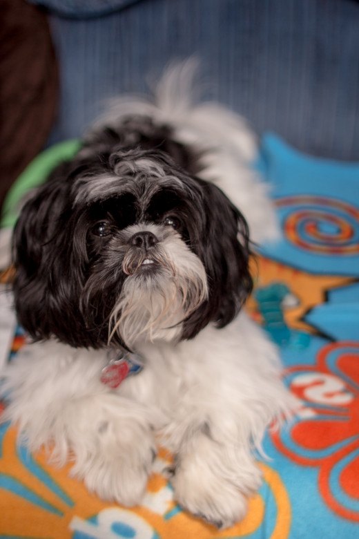 A shallow depth of field allows you to center in on details and create a soft effect.