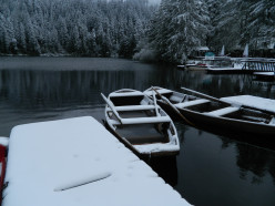 http://s4.hubimg.com/u/8048591_f248.jpg