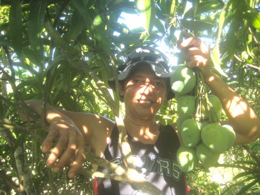 Leaves (camouflage) effect (Photo Source: Ireno Alcala)