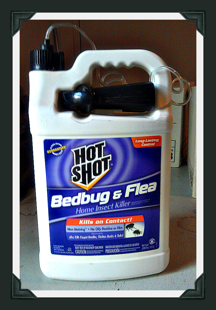 hot shot bed bug spray review | dengarden hot shot bed bug spray review | dengarden