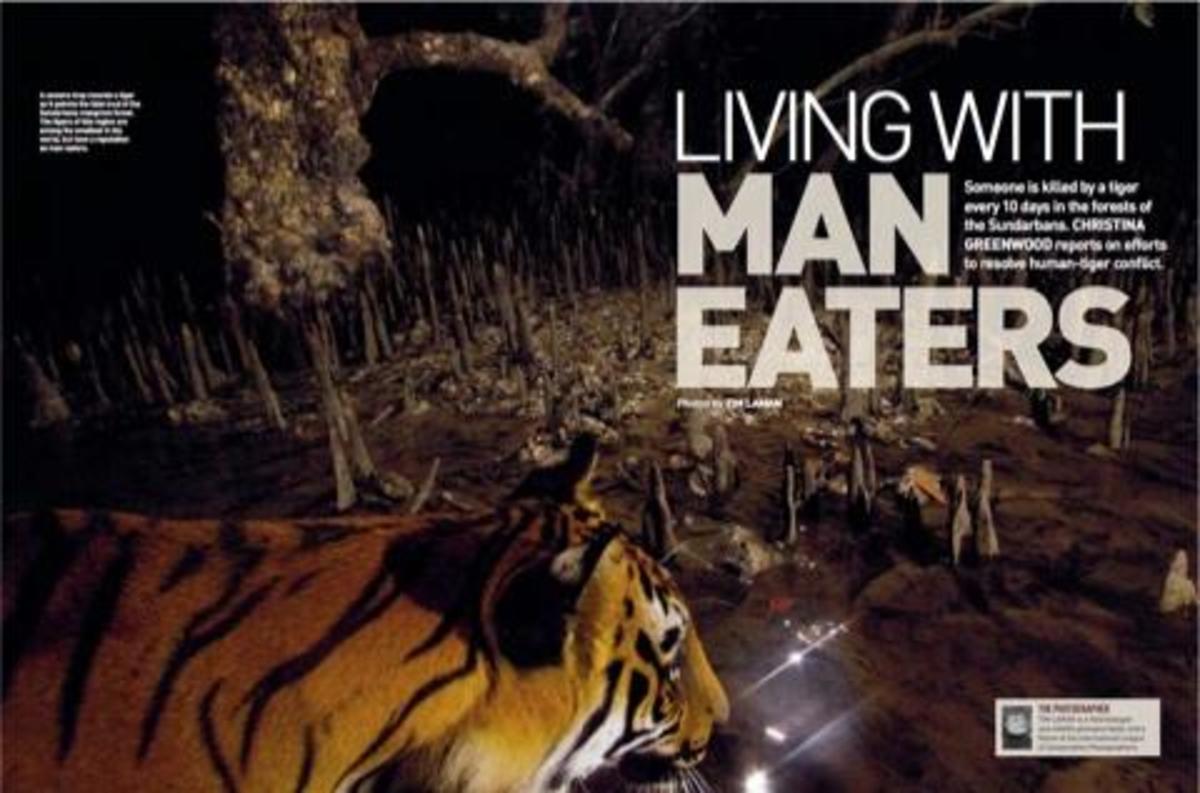 Someone is killed by a tiger every 10 days in the forests of the Sundarbans. 