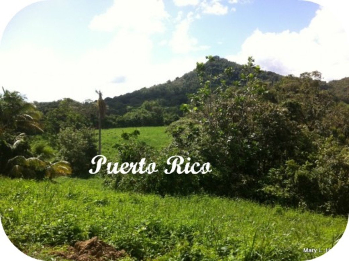 Puerto Rico Countryside