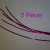 Cut 5 pieces about the length of a piece of letter size paper long side.