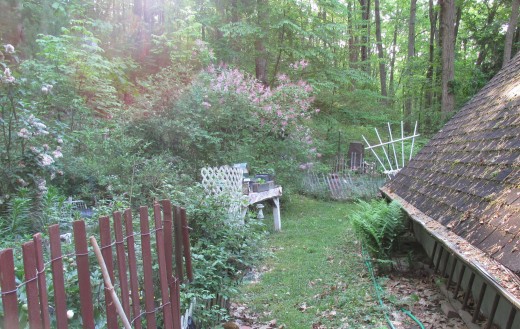 Part of my backyard, which I love!