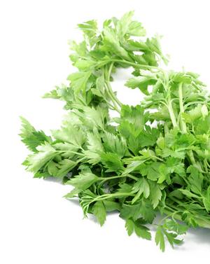 PARSLEY