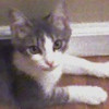 Trustme-ILivedIt profile image