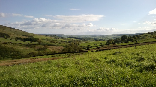 Landscape near Bolton Abbey