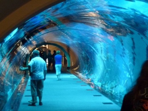 Dubai Aquarium
