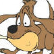 tchigh profile image