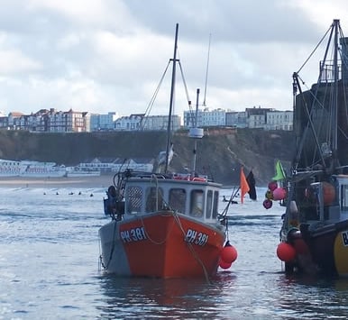 Newquay Beaches, Cornwall: Newquay Harbour, Cornwall, England, TR7