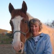Carousel profile image