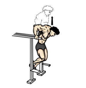 Leaning forward like pictured above will greatly emphasize the pectoral muscles over the triceps.
