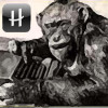 Herringbone profile image
