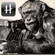 Herringbone profile image