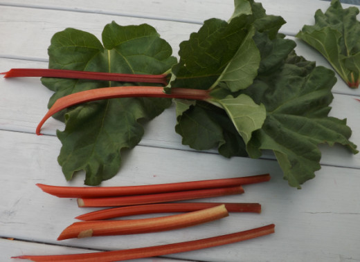 Remove the Leaves from the Rhubarb
