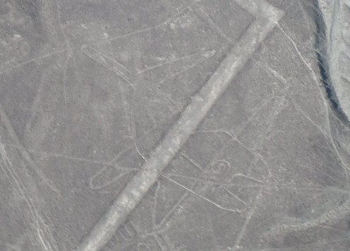 The Nazca Lines Viewed from the Air: The Whale