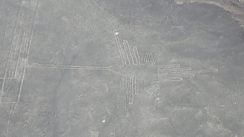 Nazca Lines Bird: The Humming bird