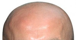 https://usercontent1.hubstatic.com/8110112_f260.jpg