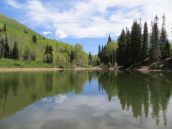 Dog Lake Trail: Utah Hiking for Families with Kids