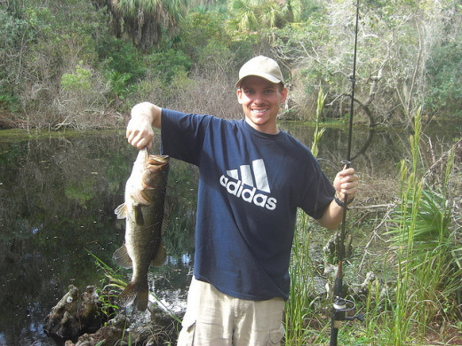 Catching a nice large mouth bass using a spinning rod and reel while fishing from the bank.